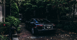 Urban Gardening Benefits: Transforming Our Cities One Plant at a Time